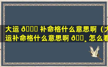 大运 🐋 补命格什么意思啊（大运补命格什么意思啊 🕸 怎么看）